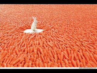 Fine Tip Stylus For Ipad