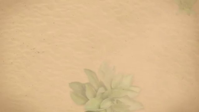 Houston Real Estate Agent