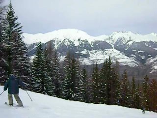 Sous les sapins enneigés
