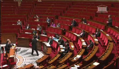 rappel au règlement motions