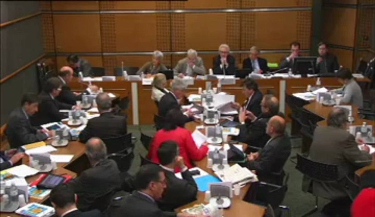 Commission du Développement Durable: Transition énergétique