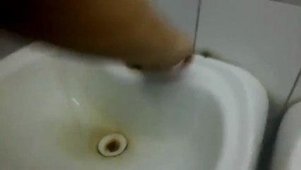 Kendini F1 aracı sanan musluk