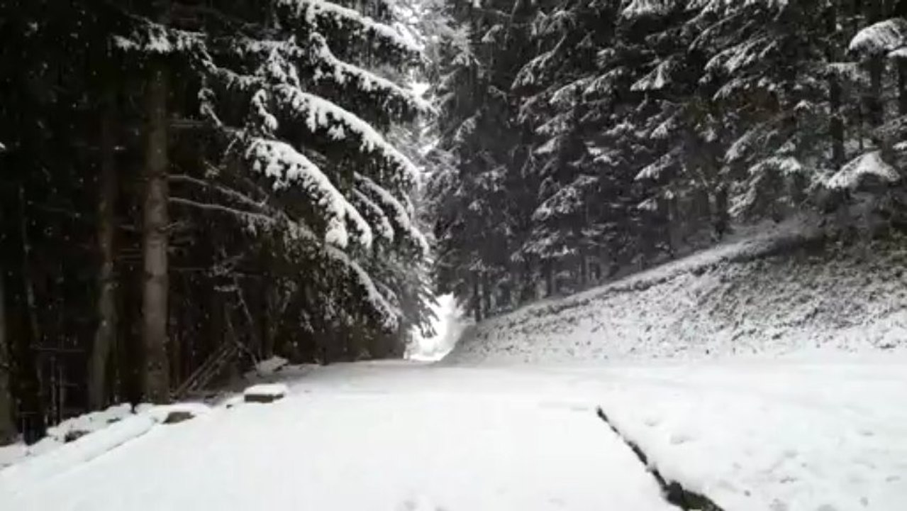 victo papa 2 déc 2012