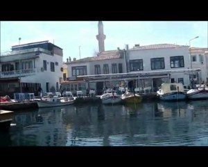 GEZGİNİN GÜNLÜĞÜ (1) DENİZ KİRPİSİ GÜNLERİ