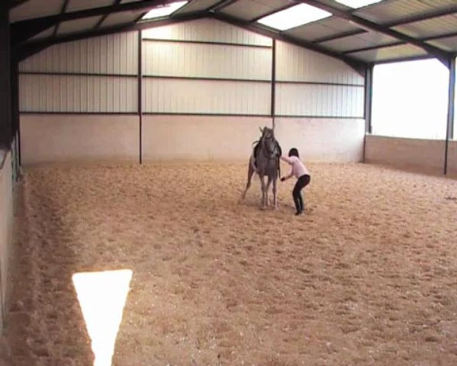 27.03.2013 premiers changements de pieds et assis