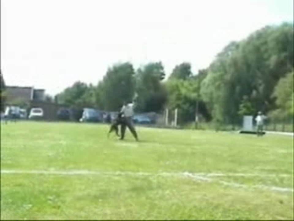 virus attaque avec garde au ferme