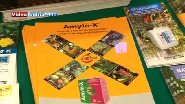 Andria - Meeting Vigna e Olivo: tra innovazione e sostenibilità