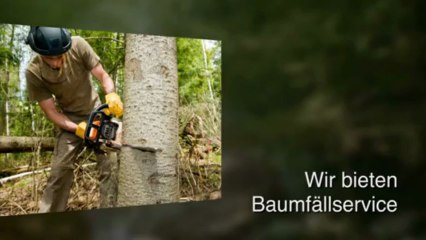 Wurzelfräsen - Bochum Landschaftsbau-Baumdienst Franke GmbH