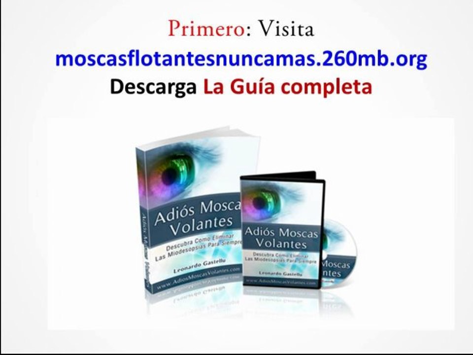 ojos moscas volantes cura definiva para las moscas volantes
