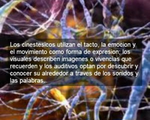 La clave para una buena inversion: minimizar riesgos