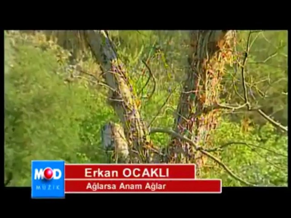 erkan-ocakl-a-larsa-anam-a-lar-dailymotion-video