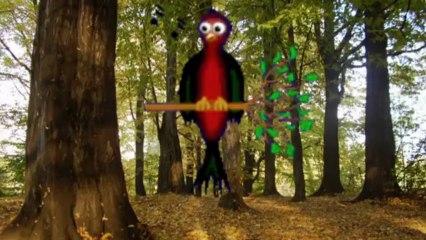 ☸ڿڰۣ   Ptasia serenada ☸ڿڰۣ