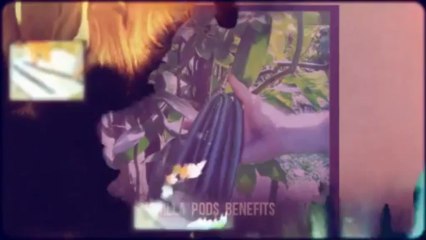 Vanilla Pods Benefits