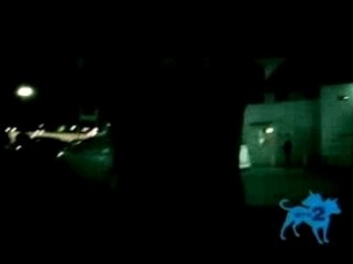 the black dahlia murder