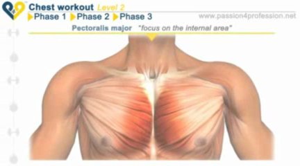 Best chest workout - 30 minutes routine - How to get big chest - YouTube