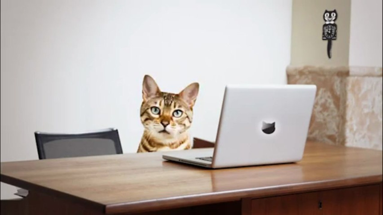 Oui aux prêts à téléphoner Universal mobile !