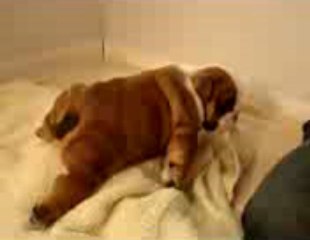 정선바카라웃유		〔 ＱＣＨ１３８.ＣＯＭ 〕웃유		정선바카라