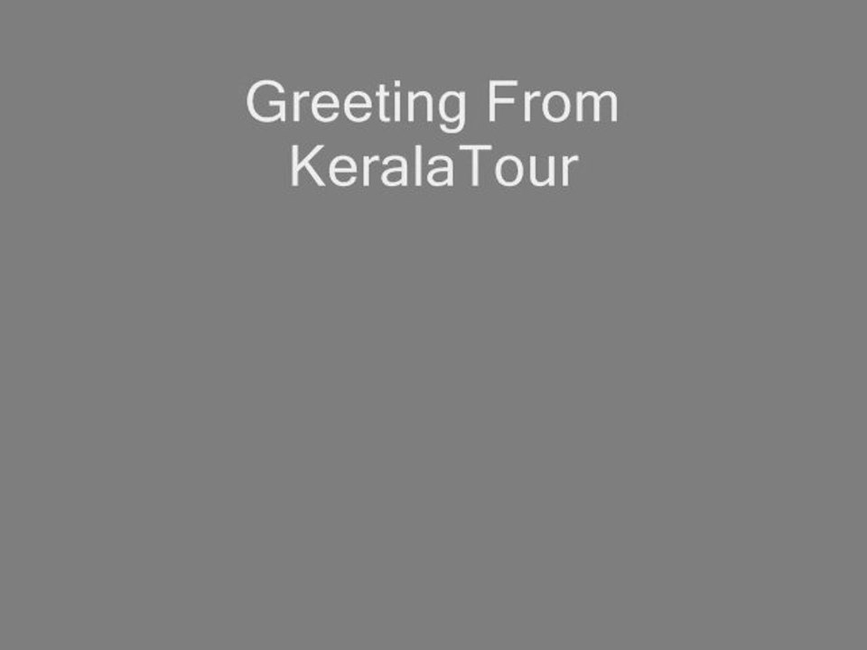 Grab the Offers in Kerala Wildlife Tour Packages