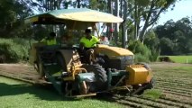 Laying New Turf Sunshine Coast, Brisbane, Gympie