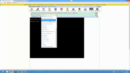 Découvrez le panel VPS de serveur-gratuit.fr
