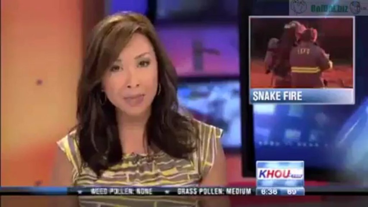 Schlange mit Feuer töten