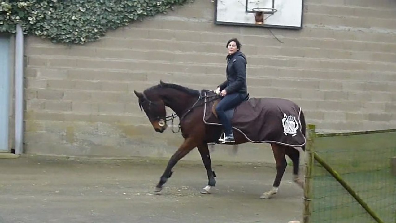 2013  A l' Etape LAÏSA et sa cavalière CATHY