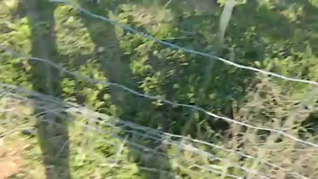 final t3 elne 31/03/2013 part 1