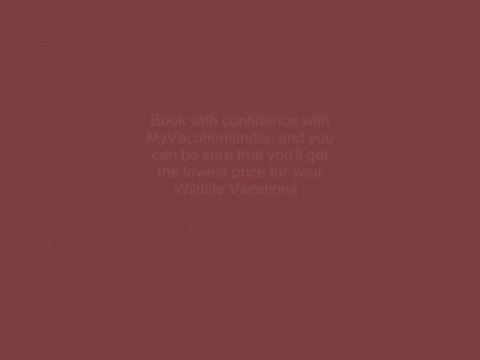 Avail the Best Offers in Wildlife Vacation Packages