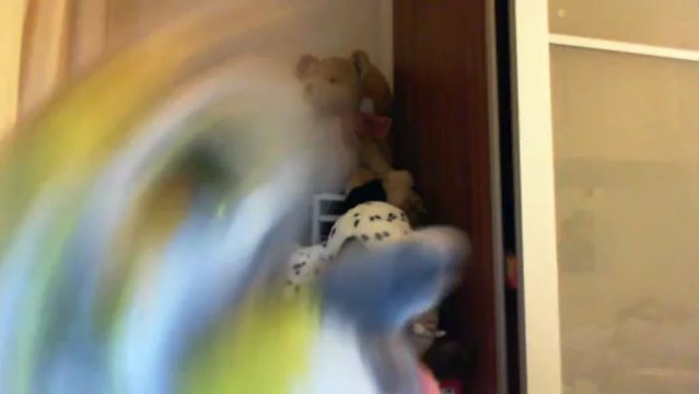 Wiwi muppetshowise Concorde de Franck Pourcel