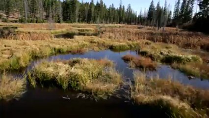Helena, MT Ranch For Sale - Little Valley Ranch