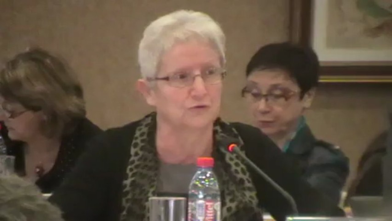 VESOUL : LE CONSEIL GENERAL VOTE LE TRANSFERT DU COLLÈGE GEROME SUR LE SITE DE L'IUFM