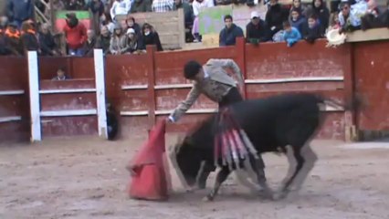 CARNAVAL CIUDAD RODRIGO 2013