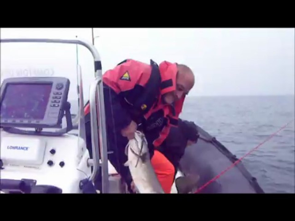 Pêche du Lieu jaune