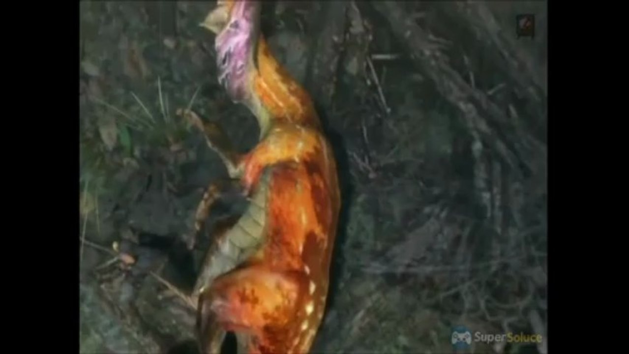 Soluce Monster Hunter 3 Ultimate : Rififi toxique