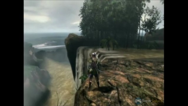 Soluce Monster Hunter 3 Ultimate : Désinsectisation