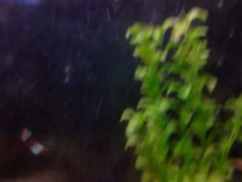 video-2013-03-29-17-46-45
