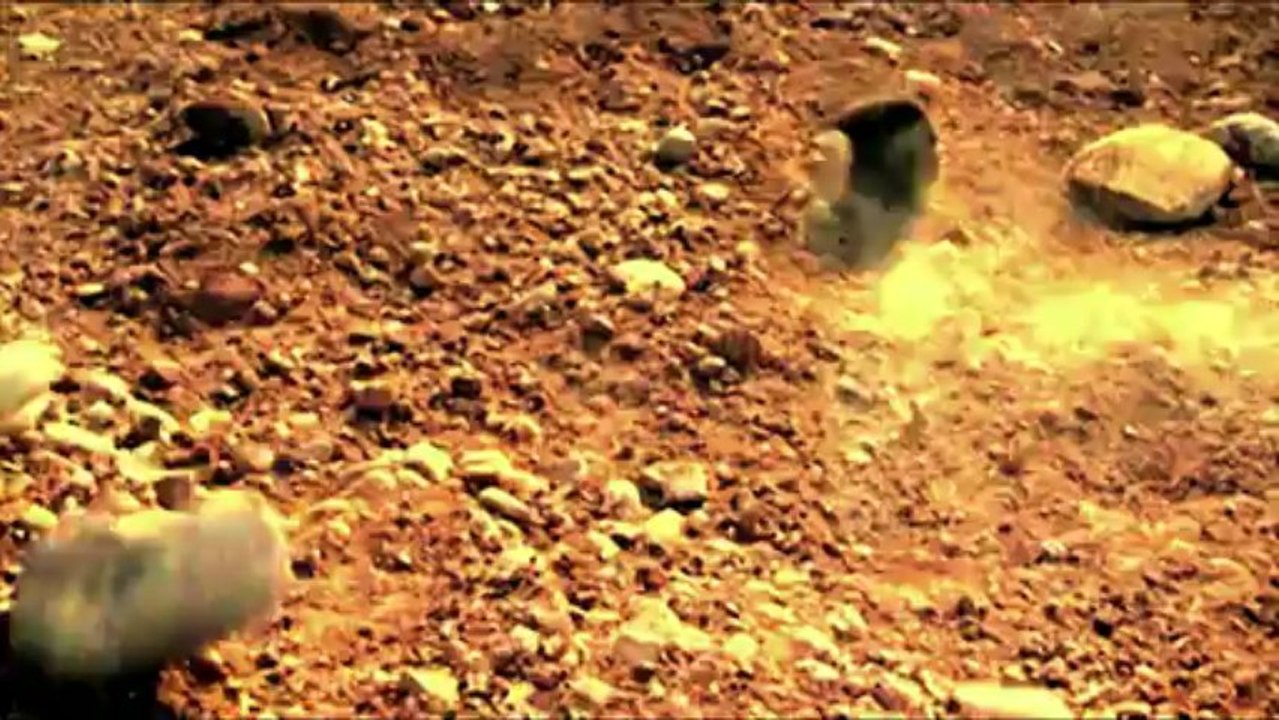 last_chance_video_MASTER