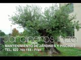 Mantenimento de Jardines y Piscinas Ibiza