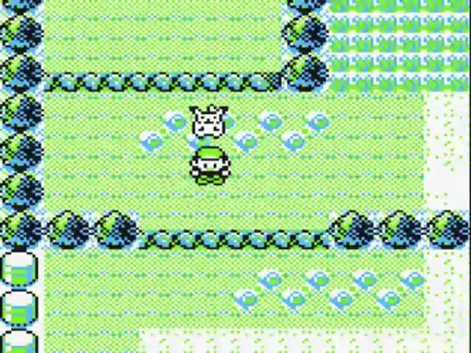 Pokemon Version Jaune [1] Jadielle