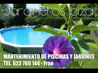 Mantenimento Piscinas Ibiza
