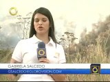 Se registra nuevo incendio forestal en El Ávila