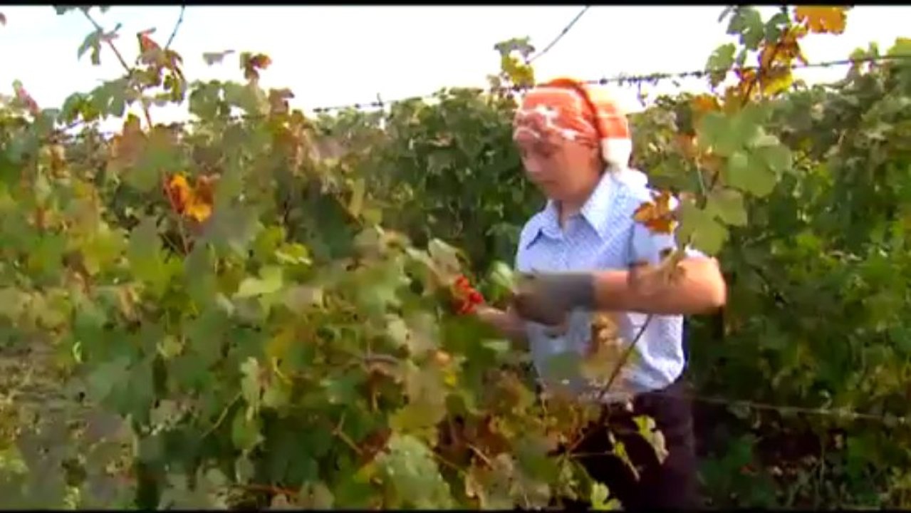 Фильм снятый телекомпанией ATV о селе Ивановка Исмаиллы