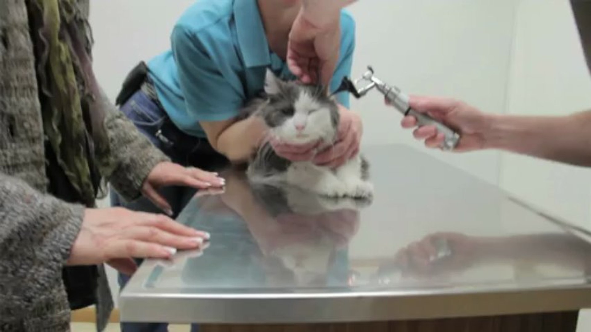 ⁣Welcome to Twin Rivers Veterinary Clinic