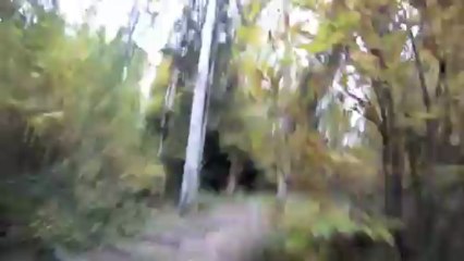 Entraînement canicross parcours sportif Mont-Mussy avec Erin octobre 2011