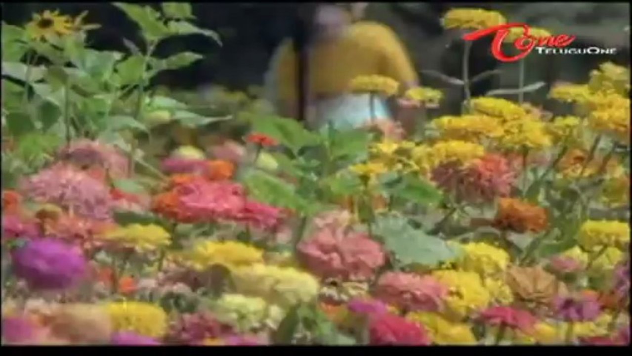 Radha Krishna Songs - Radha Krishna - Jayapradha - Sobhan Babu