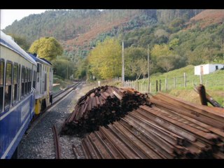 Amigos del FF.CC Gijón (Cuevas del Soplao Gijon-Unquera-Gijón 2010)