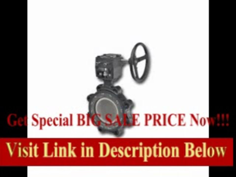 [REVIEW] Butterfly Valve