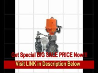 [BEST PRICE] Belimo Aircontrols (Usa), Inc. Butterfly Valve