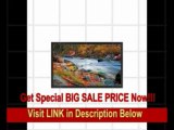 [SPECIAL DISCOUNT] Display MultiSync LCD8205 82 1920 x1080 5000:1 Widescreen LCD Monitor