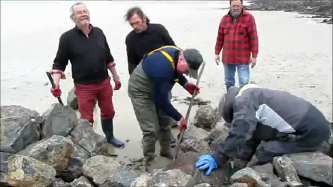 Pêcherie Granville - Travaux sur le bras Nord-Est (Vendredi 29 mars 2013)